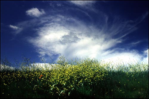 Cielo viento y sue o son tus labios de terciopelo Viento sue o y cielo